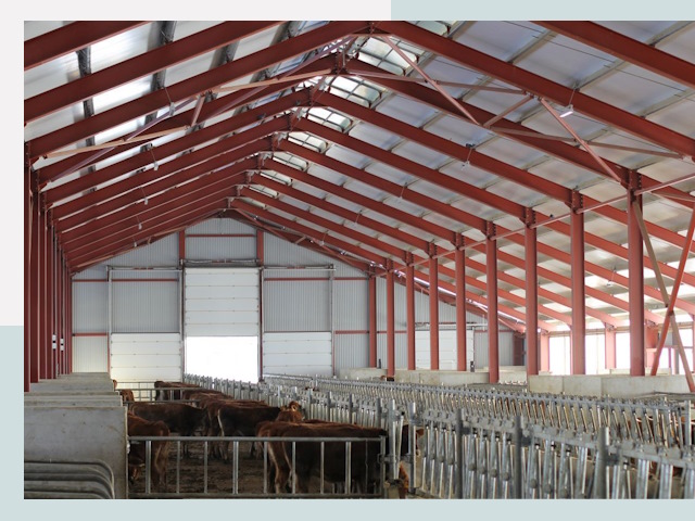 Строительство коровников в Дубне