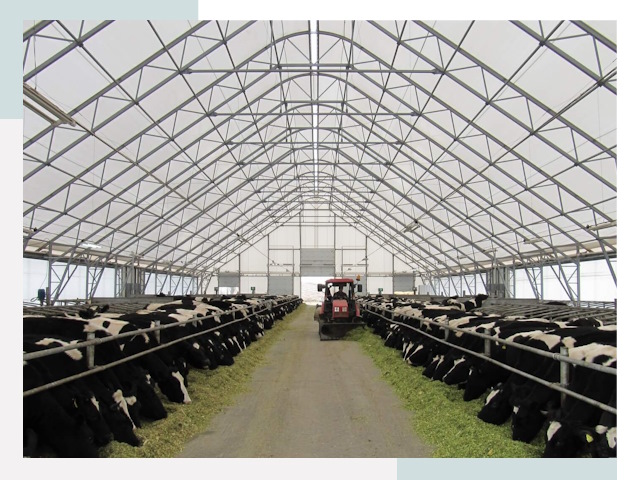 Тентовые коровники в Дубне от 613 руб. - Надежно и доступно